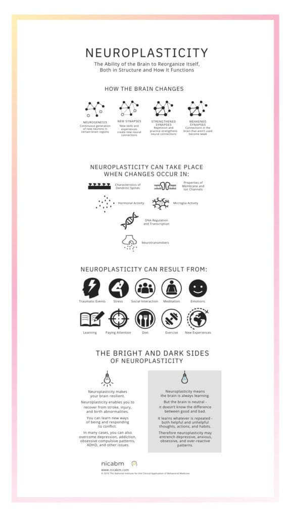 neuroplasticity infographic. how the brain changes. 